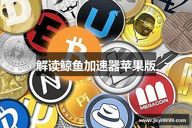 解读鲸鱼加速器苹果版